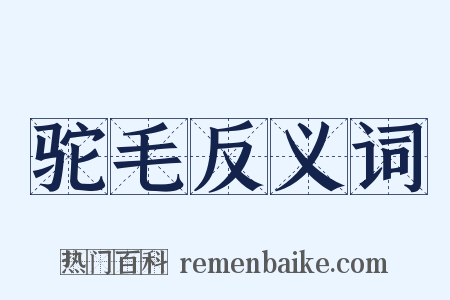 驼毛反义词是什么意思的图片